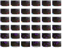 Ekran görüntüsü 2025-05-03 172343.png